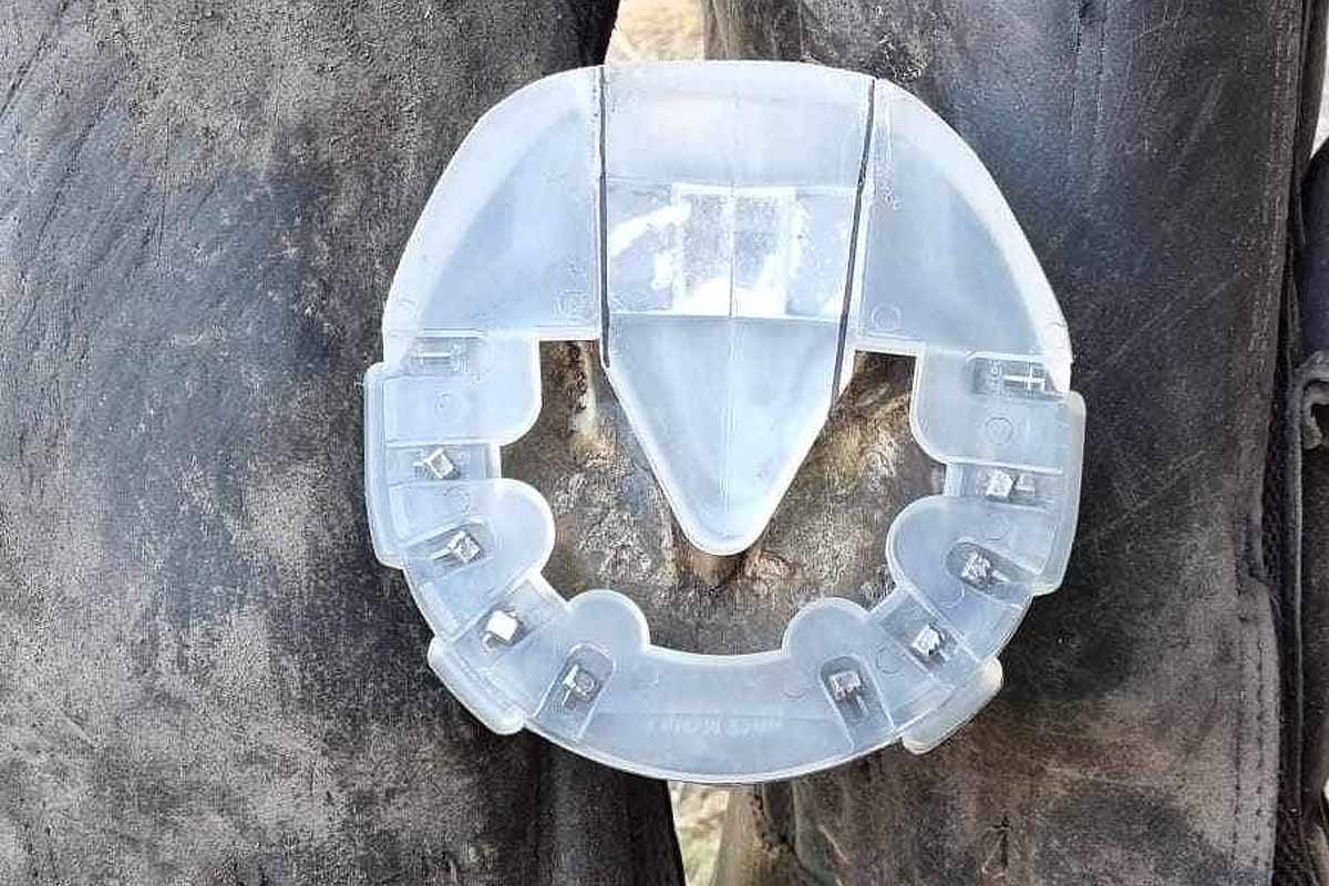 Arion, un fer en plastique pour les chevaux inventé par « Le Sabot