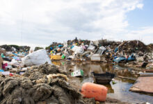 Une solution innovante pour réduire la pollution plastique.