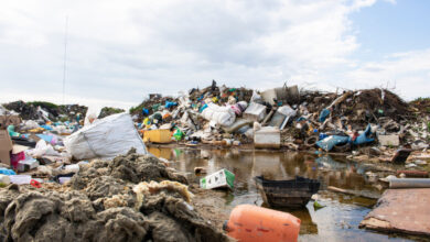 Une solution innovante pour réduire la pollution plastique.