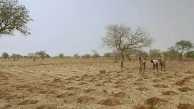 Une méthode ancestrale pour cultiver sans eau.