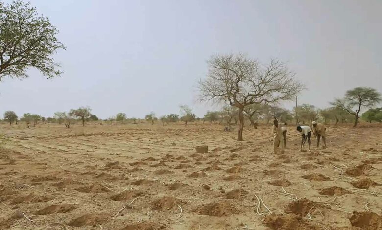 Une méthode ancestrale pour cultiver sans eau.