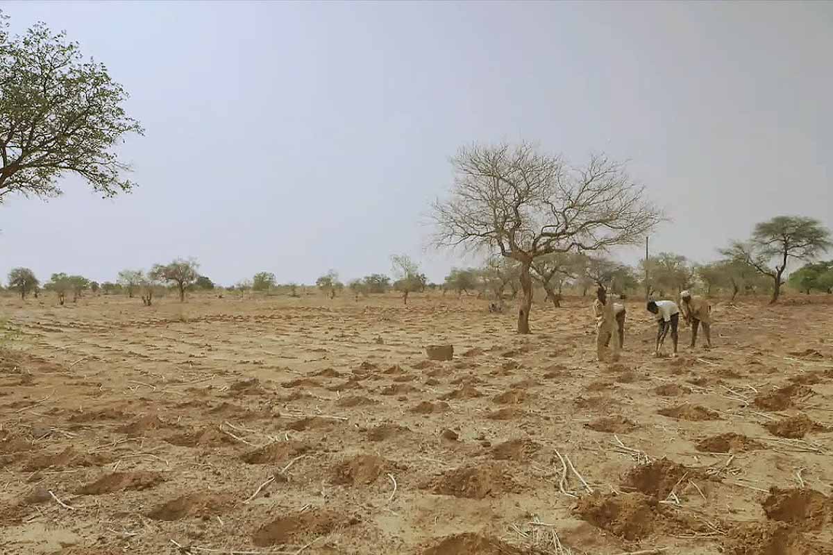 Une méthode ancestrale pour cultiver sans eau.