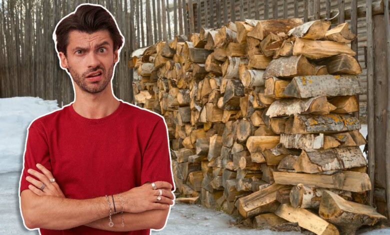 Quelques conseils pour se prémunir des arnaques au bois de chauffage.