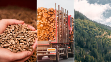 Risque-t-on une pénurie de combustibles au bois en 2023 ?