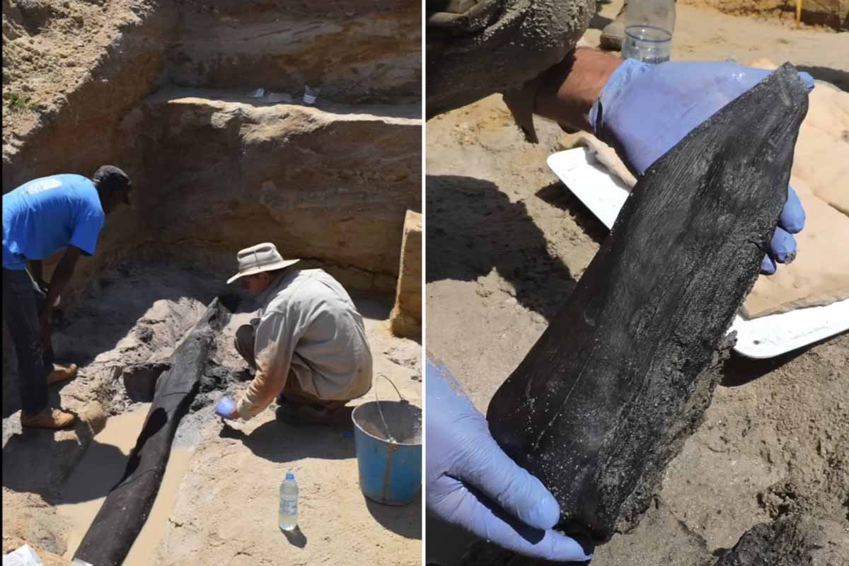 Des archéologues ont découvert les plus anciennes traces de structures artificielles en bois, datant de près d'un demi-million d'années.