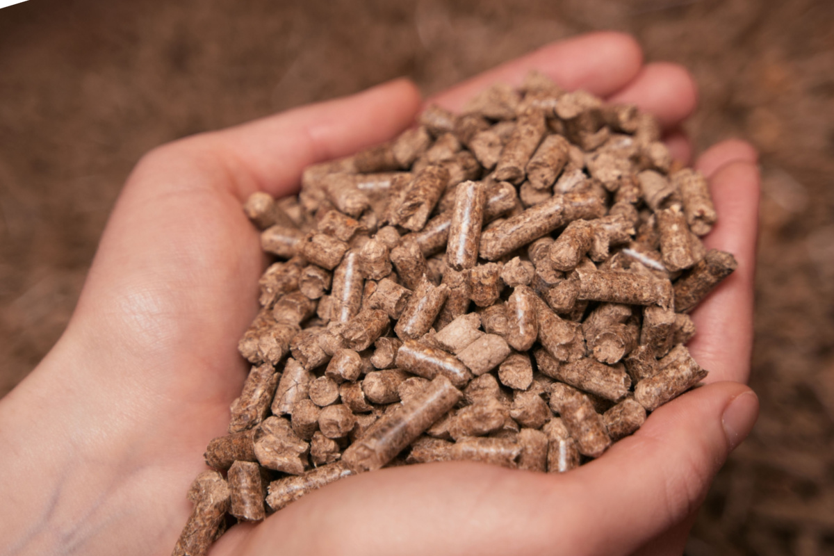 Cette presse à pellets est en promo : Profitez-en pour fabriquer vous-même  vos granulés de bois !