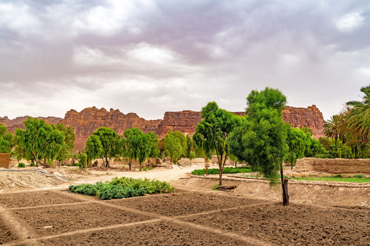 Oasis d'AlUla à AlUla, Arabie Saoudite