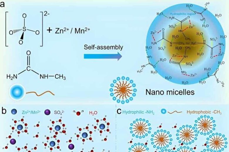 Diagramme schématique de l’électrolyte nanomicellaire. 