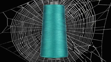 De la soie d'araignée filée pour la première fois par des vers transgéniques, procurant une alternative verte aux fibres synthétiques.