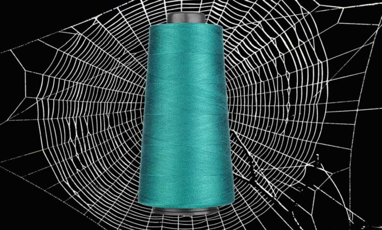 De la soie d'araignée filée pour la première fois par des vers transgéniques, procurant une alternative verte aux fibres synthétiques.