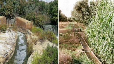 Acequia principale, Vallongas, Elche, Valence, Espagne, mai 2012 (droite) et Seguia secondaire, dans les environs de Taroudant.