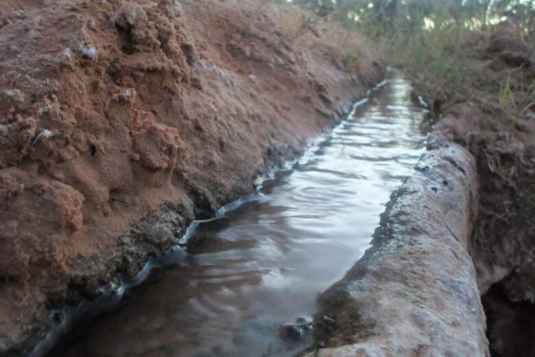 Seguia en Algérie