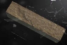 Pirrouet, l'invention d'une brique de parement négative en CO₂