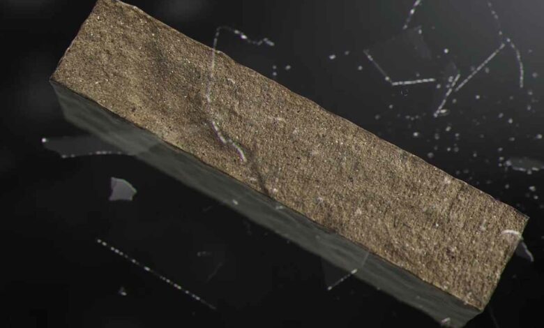 Pirrouet, l'invention d'une brique de parement négative en CO₂