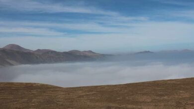 Le brouillard, une source d'eau presque inépuisable.