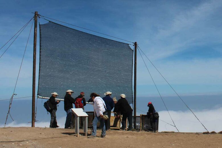 Des filets pour capturer le brouillard au chili.