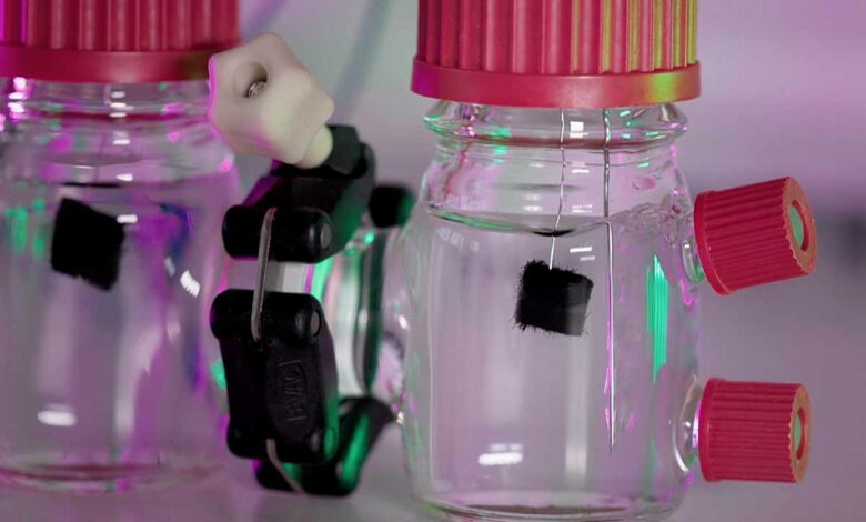 Une bactérie produit de l'électricité à partir des eaux usées