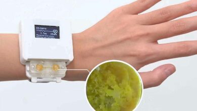 Les chercheurs d’UChicago ont créé une montre alimentée par un Blob qui doit être nourri et soigné pour fonctionner.