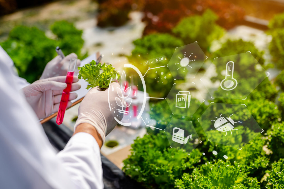 Une nouvelle technologie pour communiquer avec les plantes.