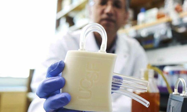 La prochaine étape consistera en des essais d'un mois, comme l'exige la Food and Drug Administration (FDA) des États-Unis, d'abord sur des animaux, puis éventuellement sur des humains.