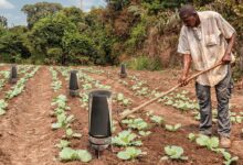 DewPointe, l'invention d'un système d'irrigation durable qui utilise l'humidité atmosphérique.