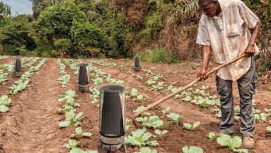 DewPointe, l'invention d'un système d'irrigation durable qui utilise l'humidité atmosphérique.