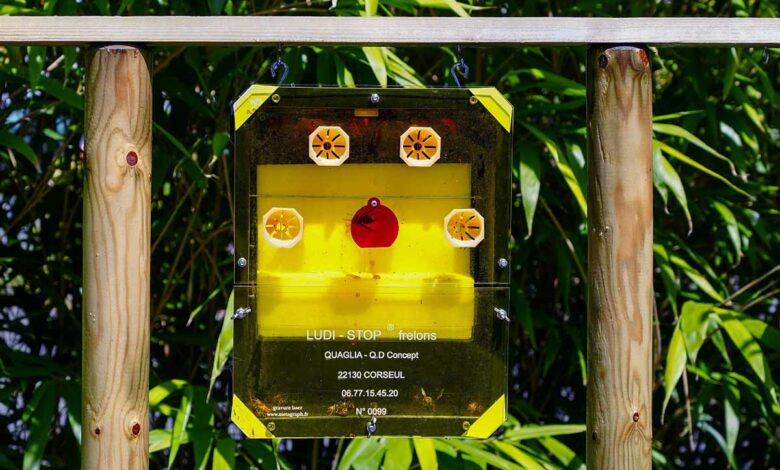 Un piège sélectif et innovant contre les frelon asiatique et sans danger pour les autres insectes utiles à la biodiversité.
