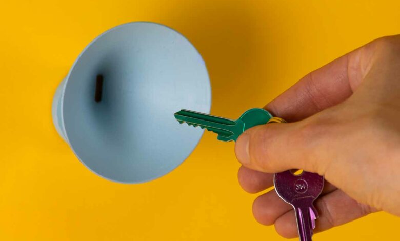 L'invention d'un dispositif innovant qui facilite l’insertion des clés dans la serrure