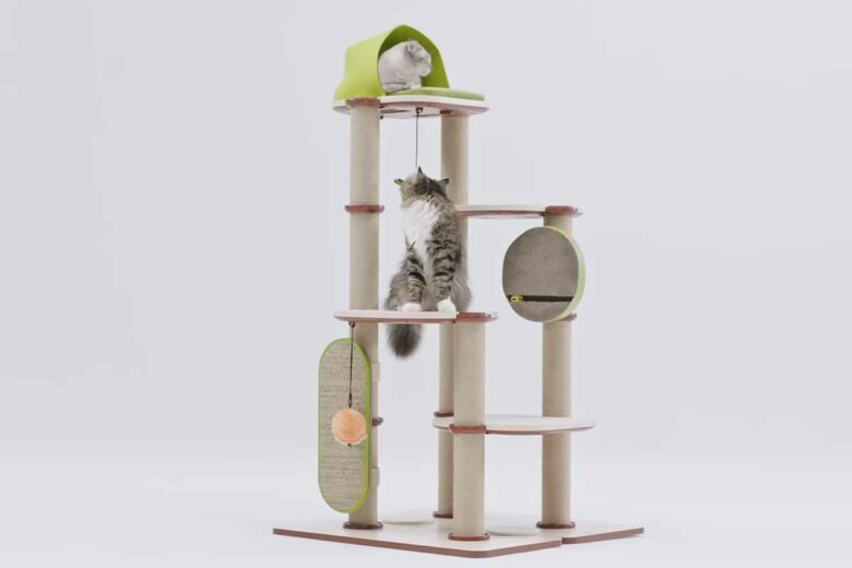 Un arbre à chat qui ravira votre animal de compagnie.