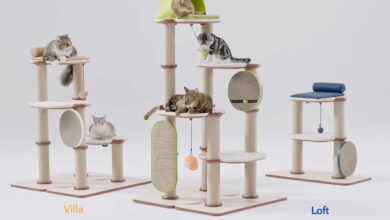 Un arbre à chat modulable et décliné en trois versions.