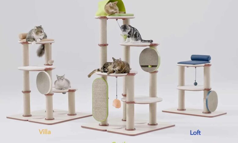 Un arbre à chat modulable et décliné en trois versions.
