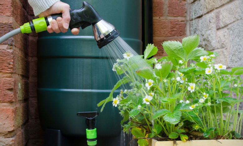 Profitez des offres sur les récupérateurs d'eau chez Brico Dépôt.