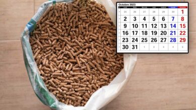 Quels sont les prix des pellets en octobre 2023 ?