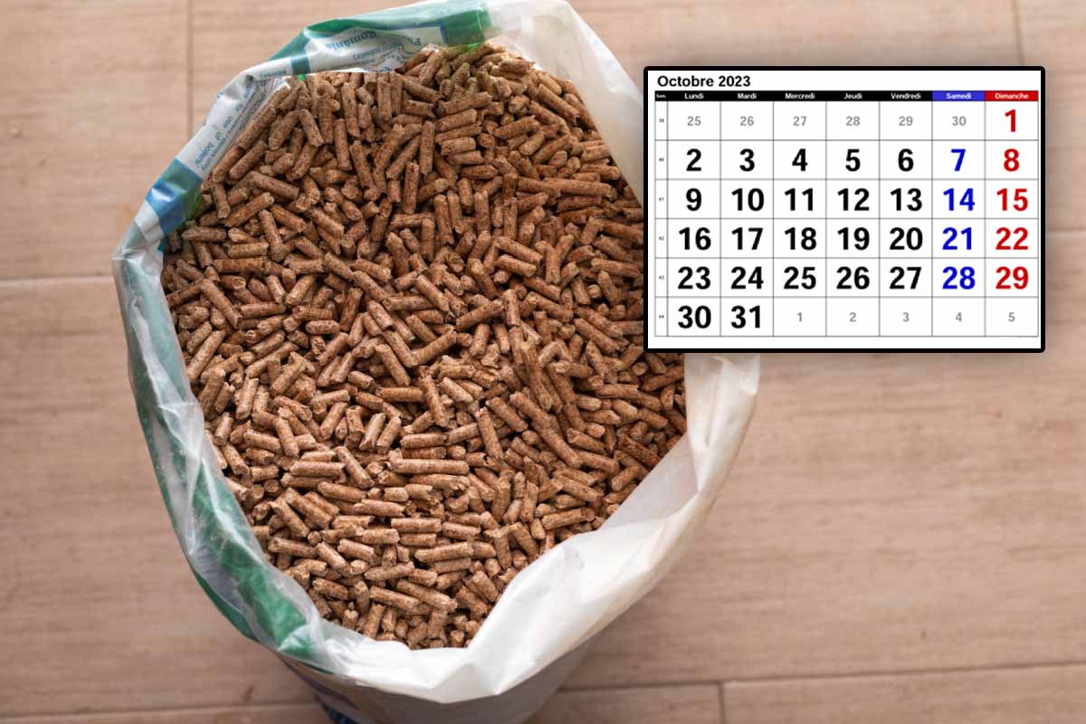 Quels sont les prix des pellets en octobre 2023 ?