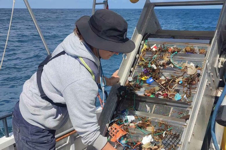 Une collecte de déchets plastiques en mer.