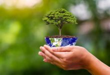 Plantons des arbres pour le bien de la planète.