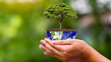 Plantons des arbres pour le bien de la planète.