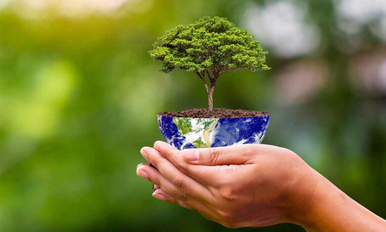 Plantons des arbres pour le bien de la planète.