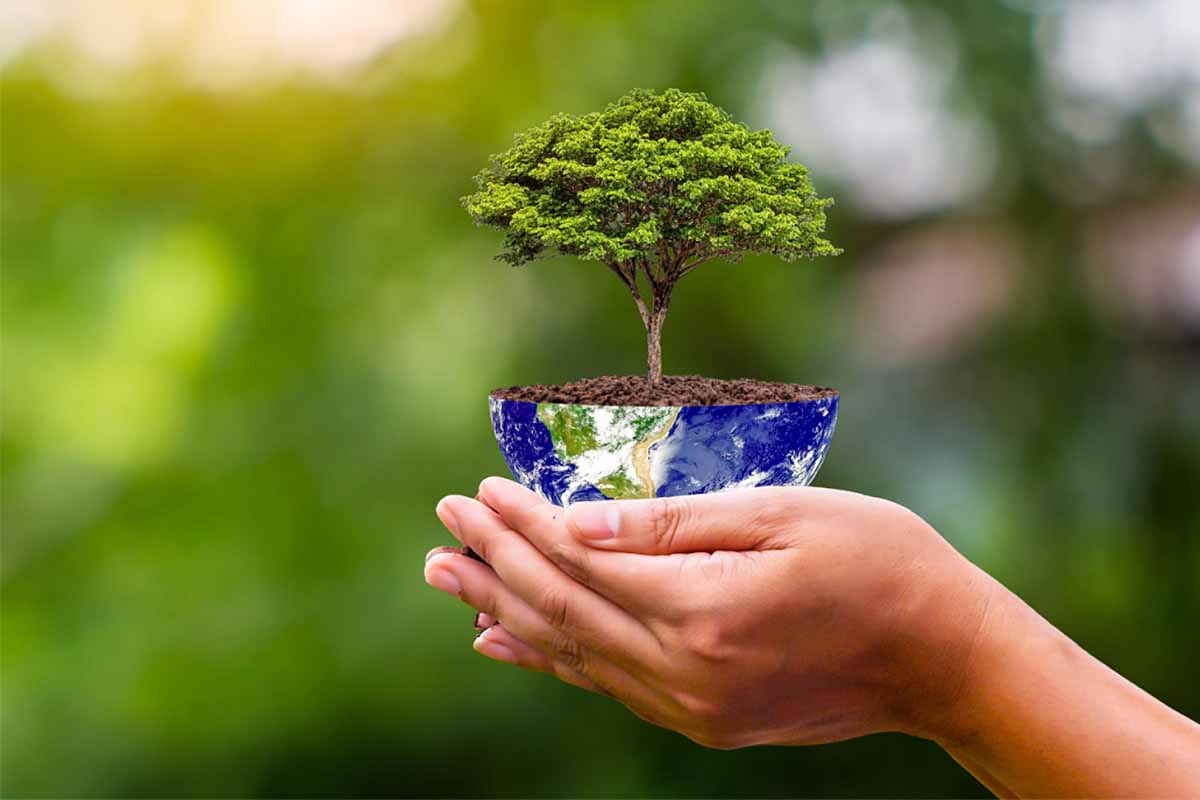Plantons des arbres pour le bien de la planète.