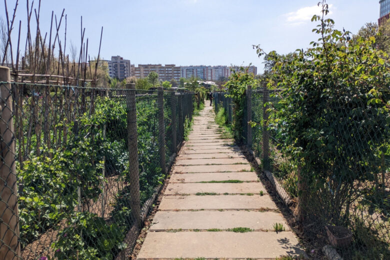 Un exemple de verger sur un chemin piéton en ville.