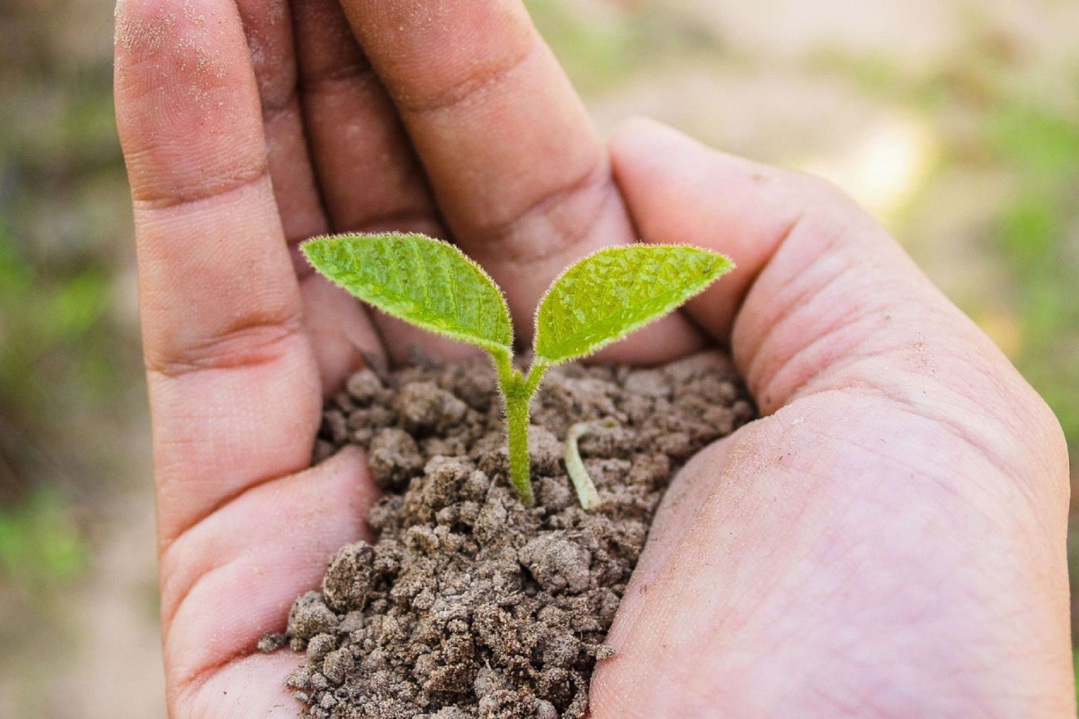 Comment accélérer son compost naturellement ? - NeozOne