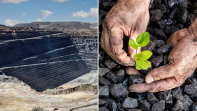 Des chercheurs de l'Université du Queensland ont mis au point une méthode novatrice visant à convertir des déchets nocifs en un sol bénéfique pour l'environnement.