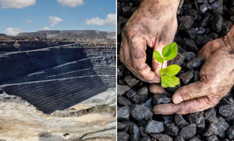 Des chercheurs de l'Université du Queensland ont mis au point une méthode novatrice visant à convertir des déchets nocifs en un sol bénéfique pour l'environnement.