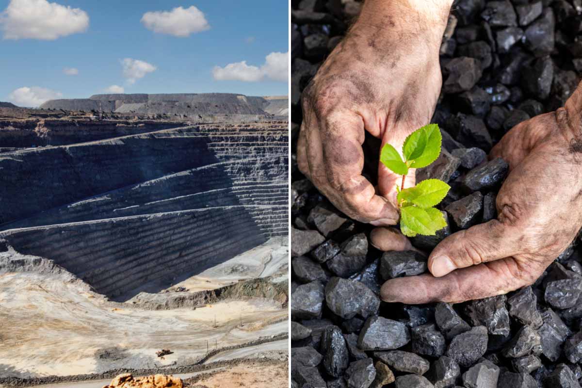 Des chercheurs de l'Université du Queensland ont mis au point une méthode novatrice visant à convertir des déchets nocifs en un sol bénéfique pour l'environnement.