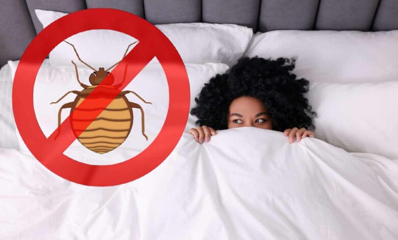 Une couette anti-punaises de lit.