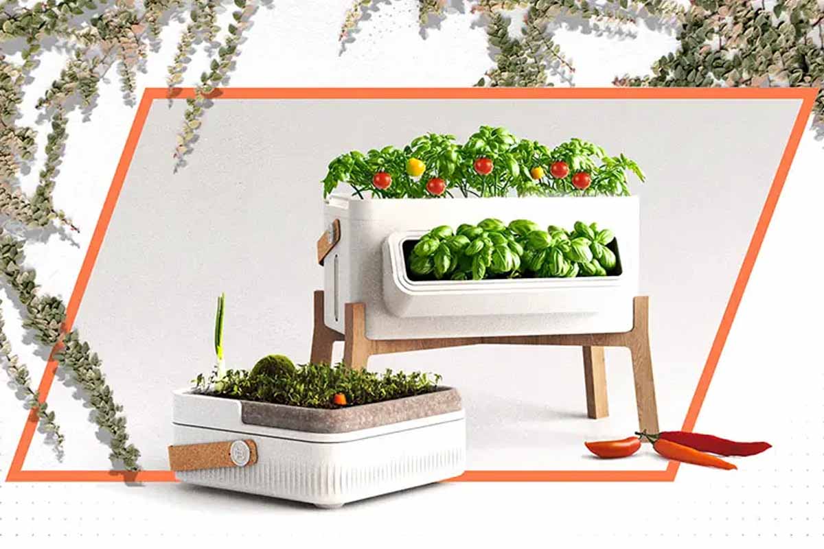 Le jardin potager vertical (intérieur ou extérieur), une invention aux  nombreux avantages - NeozOne