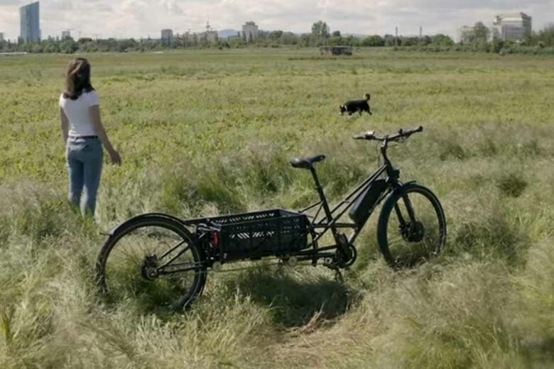 Une balade en vélo-cargo avec votre chien.