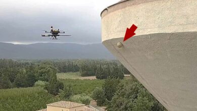 Destruction de nid de frelons situé en hauteur avec un drone.