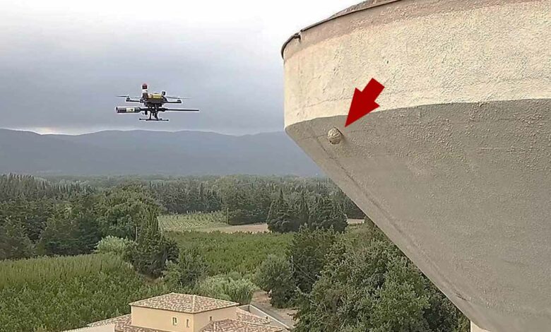 Destruction de nid de frelons situé en hauteur avec un drone.