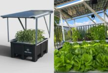 L'invention d'un système modulaire agrivoltaïque breveté qui combine l'énergie solaire, la culture hydroponique et le stockage de l'eau.